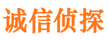 平邑诚信私家侦探公司